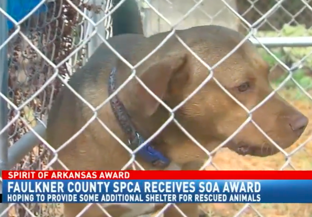 spirit of arkansas
